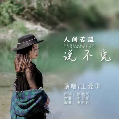 人间苦涩说不完(DJ默涵版)封面