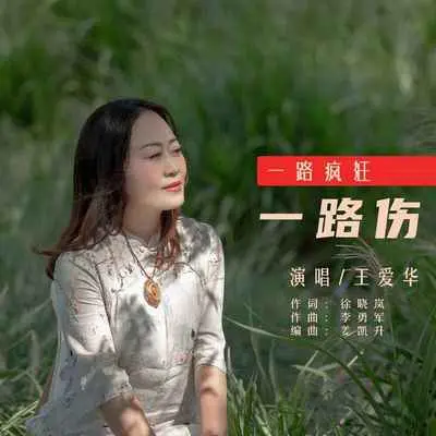 一路疯狂一路伤(DJ默涵版)封面