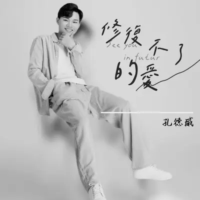 修复不了的爱封面