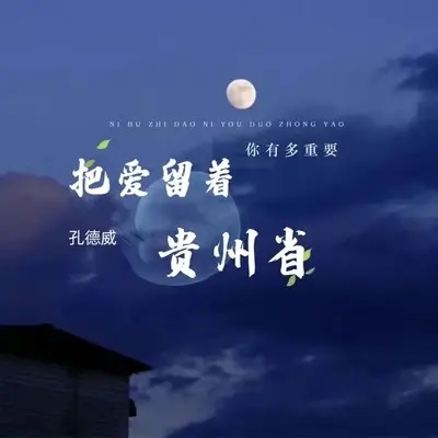 把爱留在贵州省封面