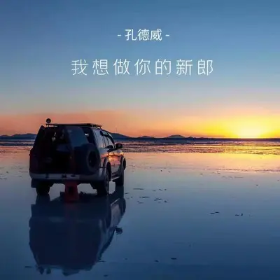 我想做你的新郎封面