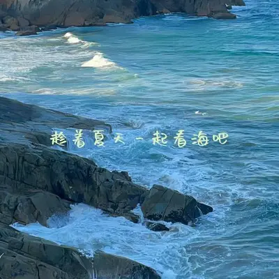 趁着夏天一起看海吧封面