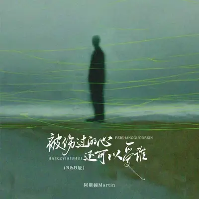 被伤过的心还可以爱谁(R&B版)封面