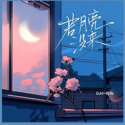 若月亮没来（DJ版） - 小瑞封面