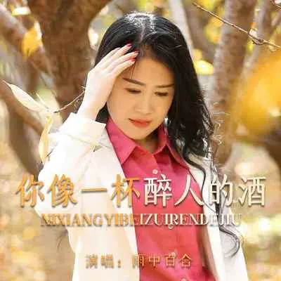 你像一杯醉人的酒(伴奏)封面