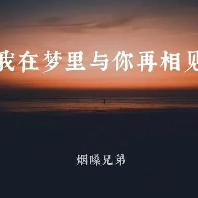 我在梦里与你再相见 - 烟嗓兄弟封面
