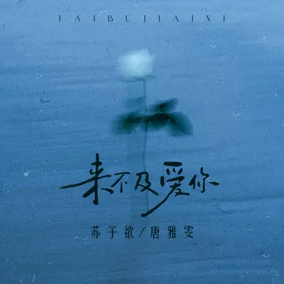来不及爱你封面