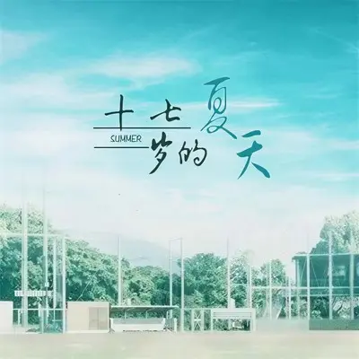 赢了世界输了你封面