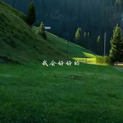 结冰 - 米雀封面