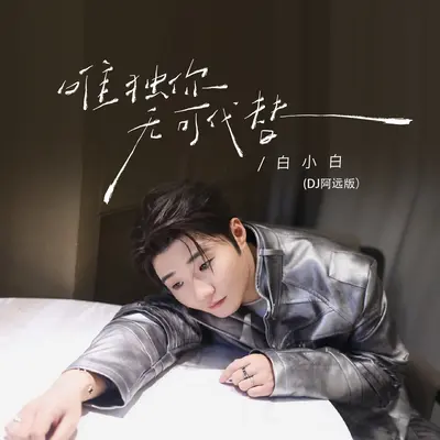 唯独你无可代替(DJ阿远版) - 白小白封面