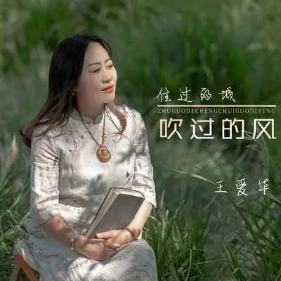 住过的城吹过的风(DJ默涵版) - 王爱华封面
