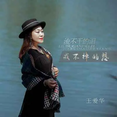 流不干的泪戒不掉的想(DJ默涵版)封面