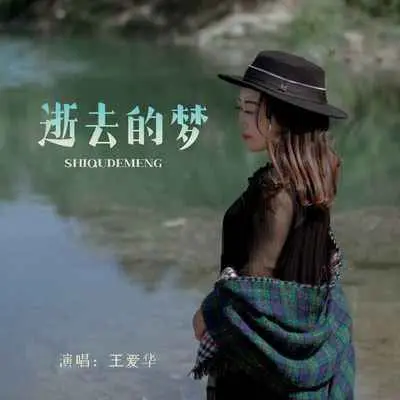 逝去的梦(DJ默涵版) - 王爱华封面