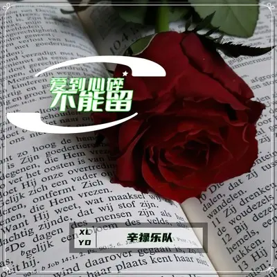 梦就在前方 (英文版) - 辛禄乐队封面