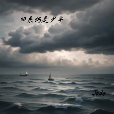 望远山而前行封面
