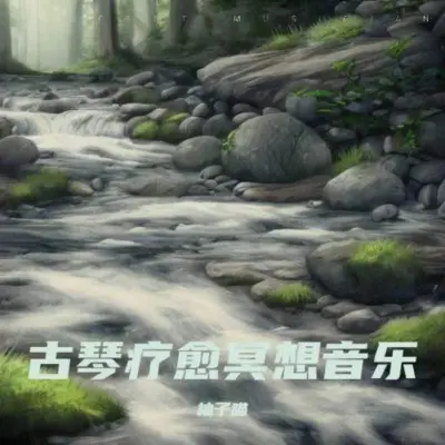 古琴禅修 空山鸟语封面
