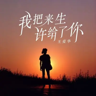 我把来生许给了你封面