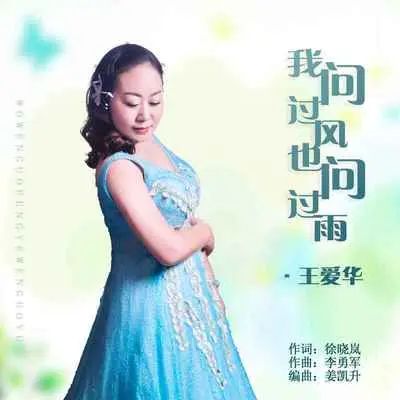我问过风也问过雨(DJ默涵版伴奏)封面