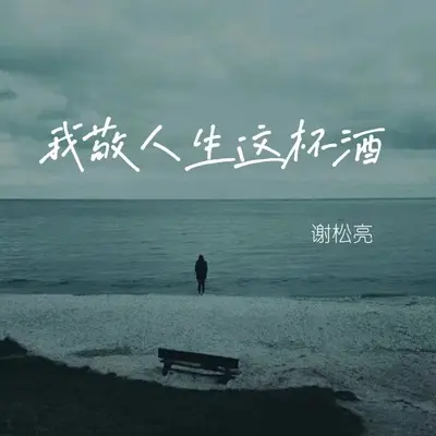 我敬人生这杯酒(合唱Live版伴奏)封面