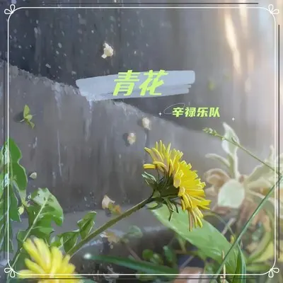 壁上观 (英文版)封面