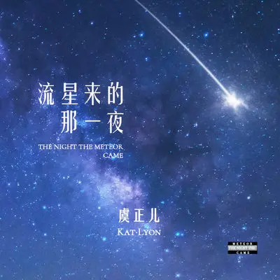 流星来的那一夜(DJ名龙版伴奏)封面