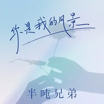 你是我的风景 (DJ九零版伴奏) - 半吨兄弟封面