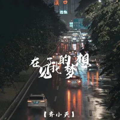 再见了我的梦想封面