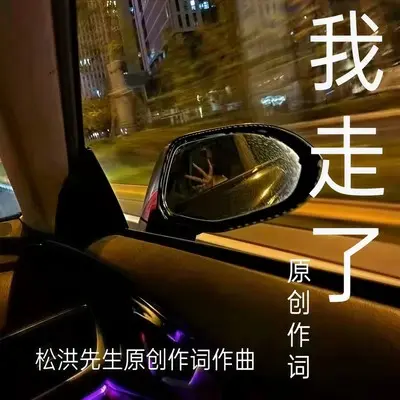 我走了封面