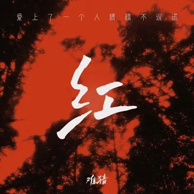 红 (爱上了一个人眼睛不会说谎)（完整版）封面