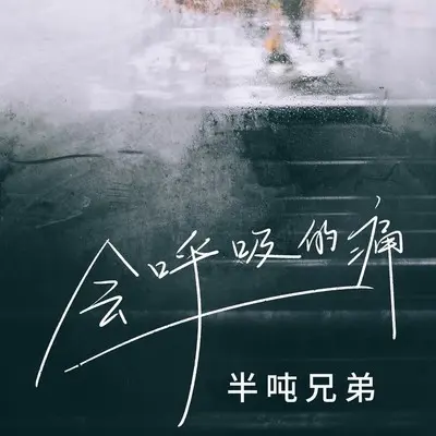 会呼吸的痛 (伴奏)封面