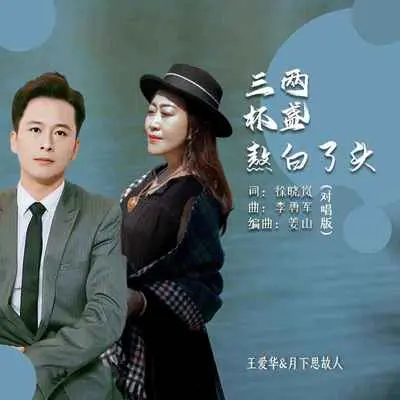 三杯两盏熬白了头(对唱版)封面