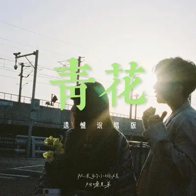 青花（遗憾说唱版）封面