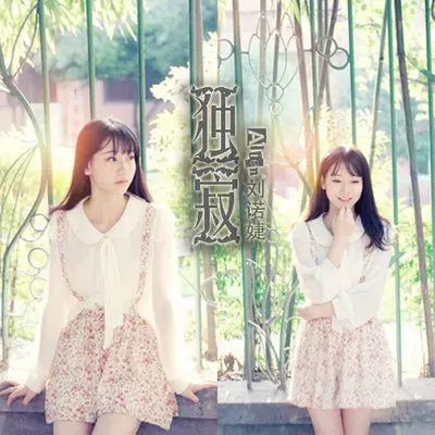独寂（完整版）封面