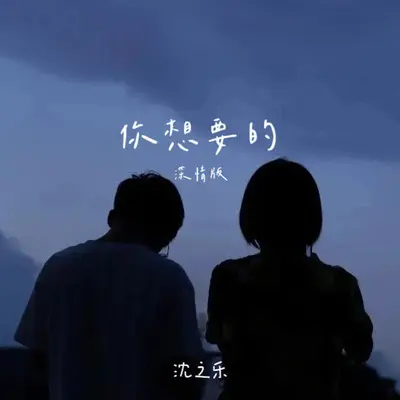 你想要的（深情版）封面