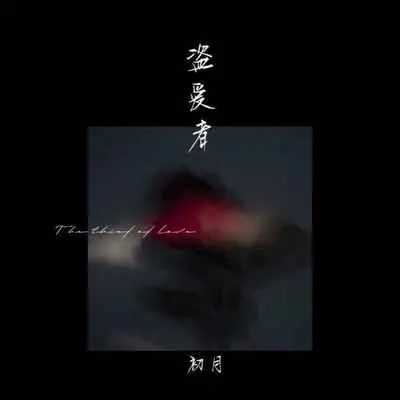 盗爱者封面