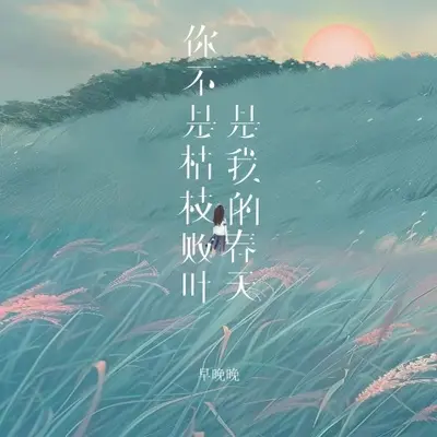 你不是枯枝败叶是我的春天（完整版）封面