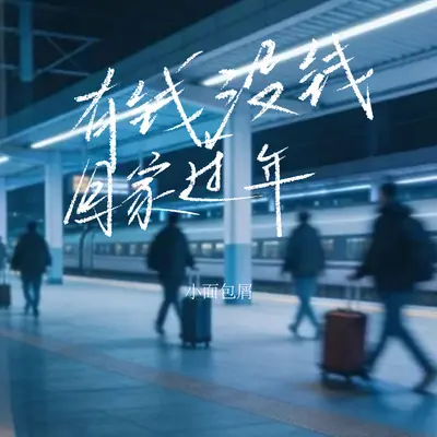 有钱没钱回家过年封面