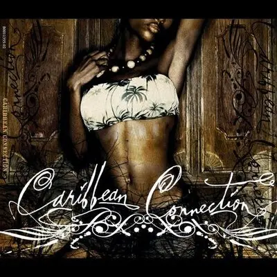 Controlando El Area (Album Version)封面