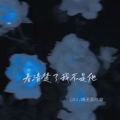 看清楚了我不是他（完整版）封面
