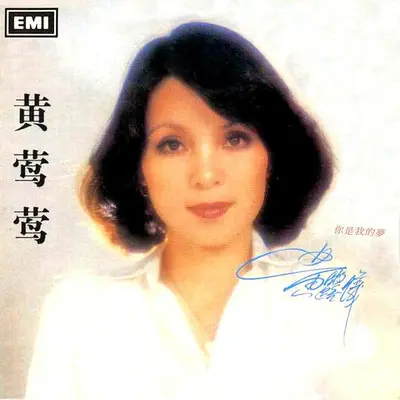 我愿 - 黄莺莺封面