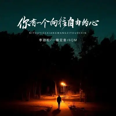 你有一个向往自由的心封面