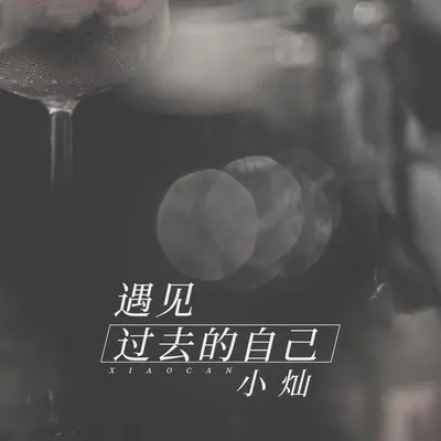 遇见过去的自己封面