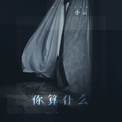 我算什么 - 小云封面