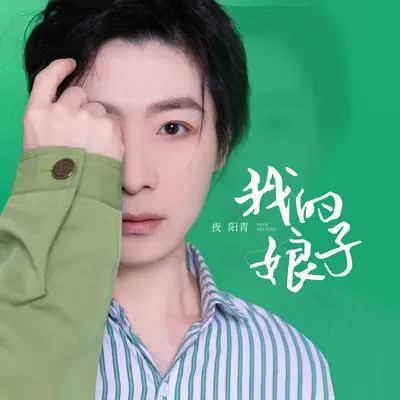 我的娘子封面