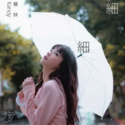 纸鹤封面