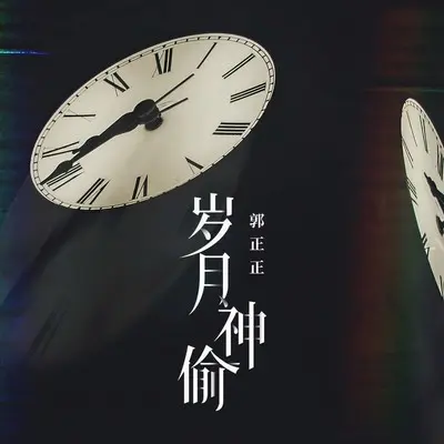 岁月神偷封面