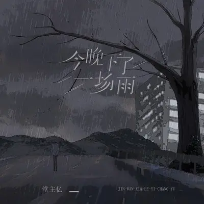 今晚下了一场雨（伴奏）封面