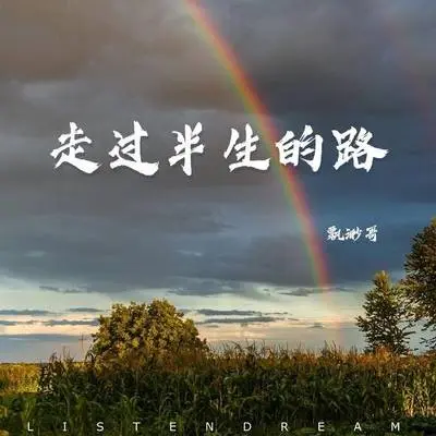 走过半生的路（DJ京仔版）封面