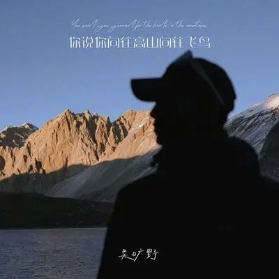 你说你向往高山向往飞鸟（完整版）封面