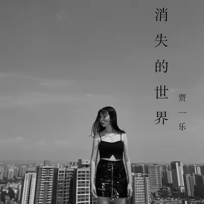 消失的世界封面